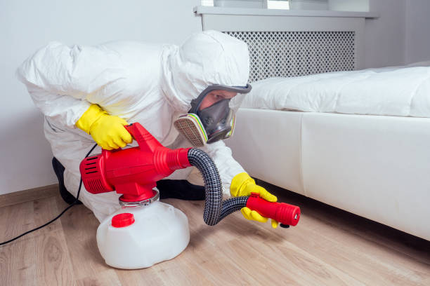 Best Pest Prevention Services  in Bridgeport, MI